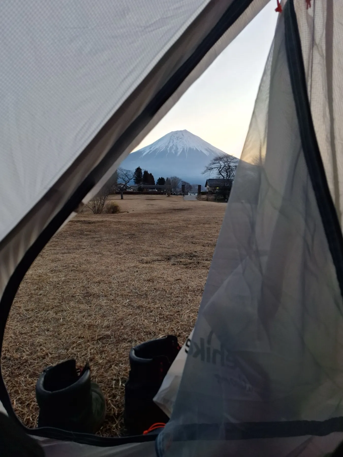 Lac Tanuki — 1