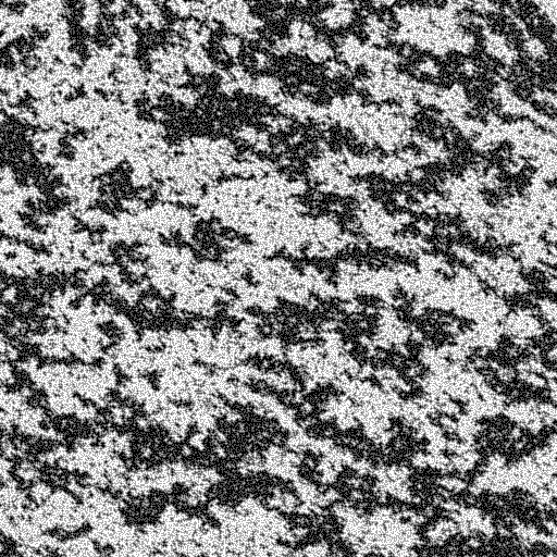 procedurals — 17